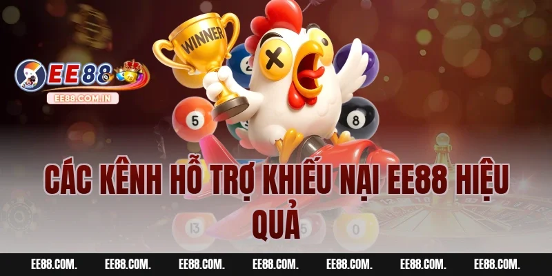 Các Kênh Hỗ Trợ Khiếu Nại EE88 Hiệu Quả